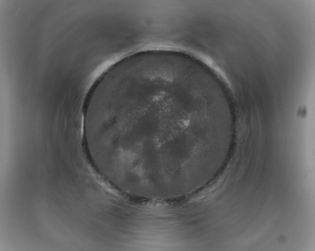 X0000091951221200709201316