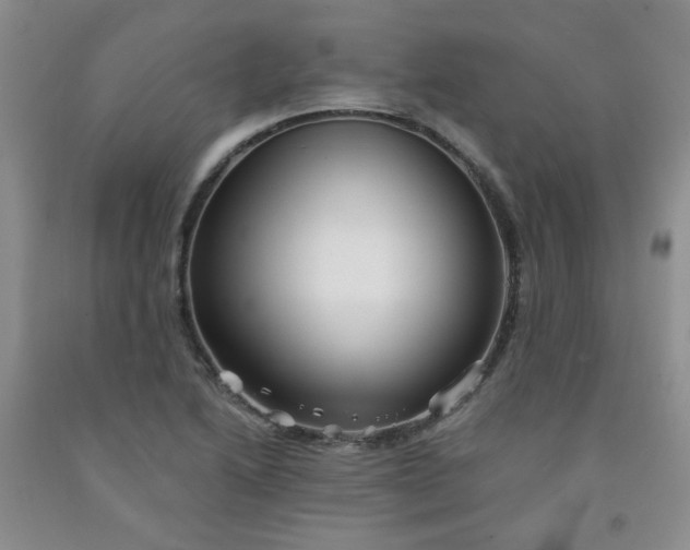 X0000091951222200709201316