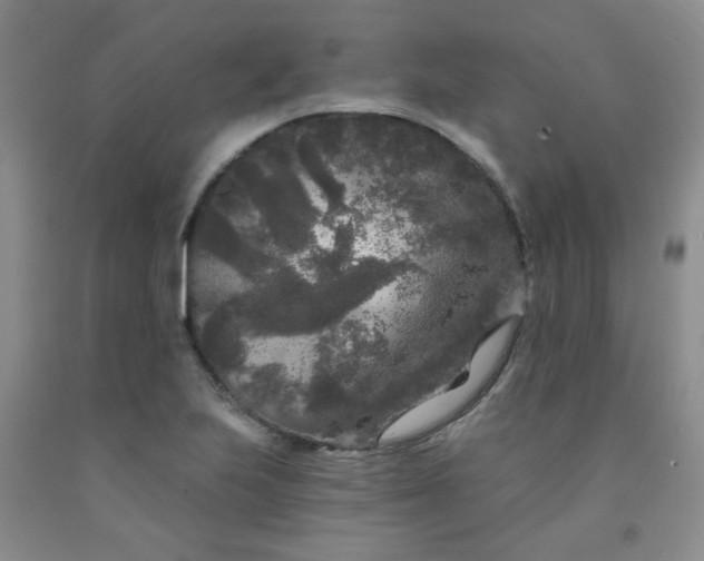 X0000091951223200709201316