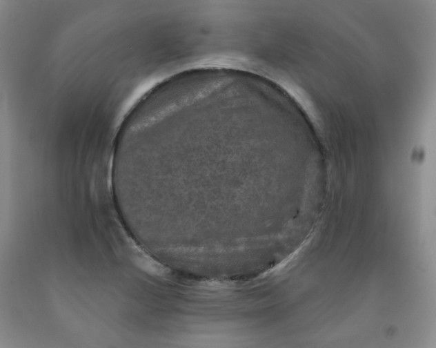 X0000091951224200709201316