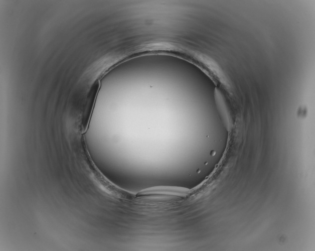 X0000091951225200709201316