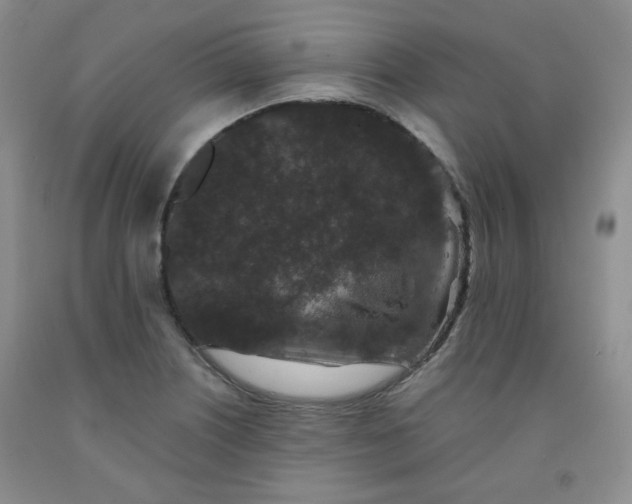 X0000091951226200709201316