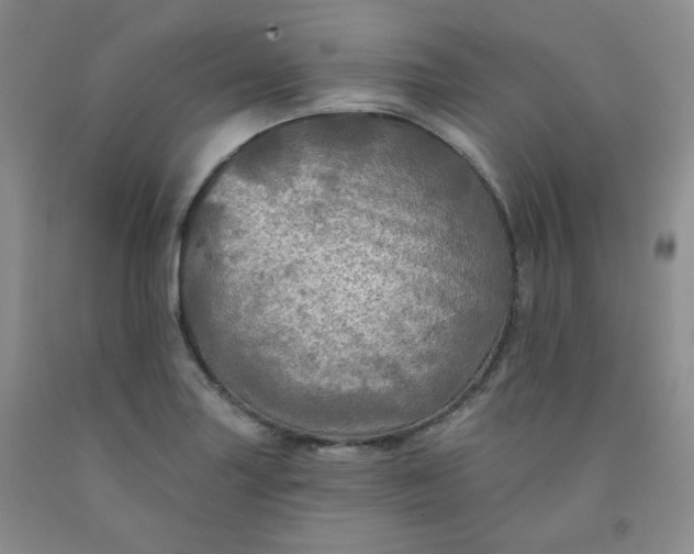 X0000091951227200709201316