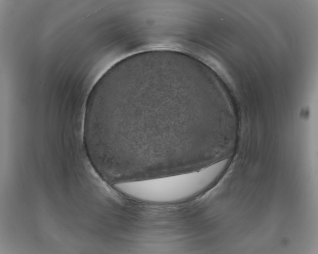 X0000091951228200709201316