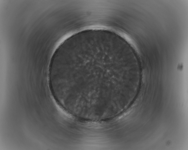 X0000091951229200709201316