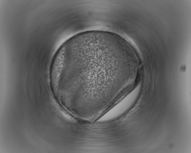 X0000091951230200709201316