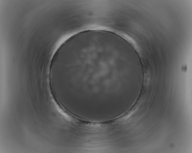 X0000091951231200709201316