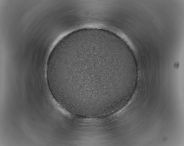 X0000091951232200709201316