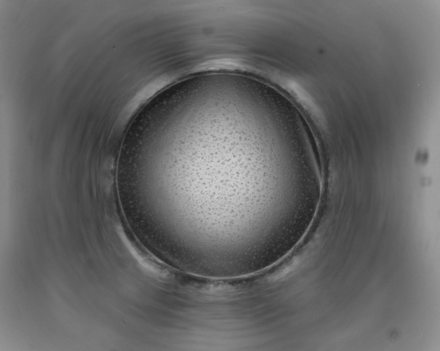 X0000091951233200709201316