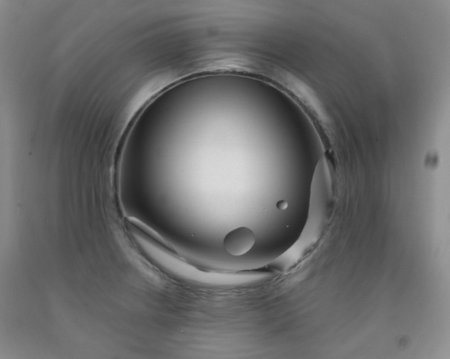 X0000091951234200709201316