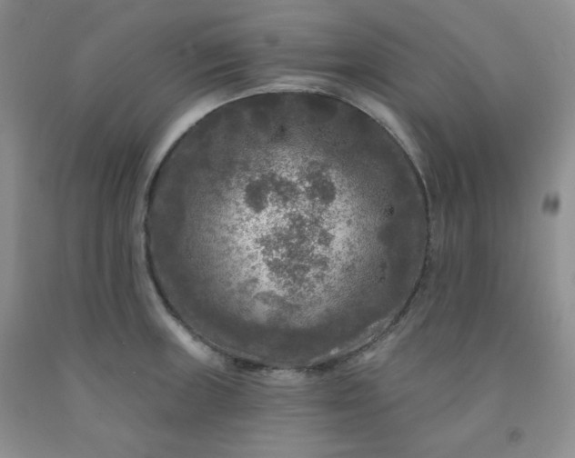 X0000091951235200709201316