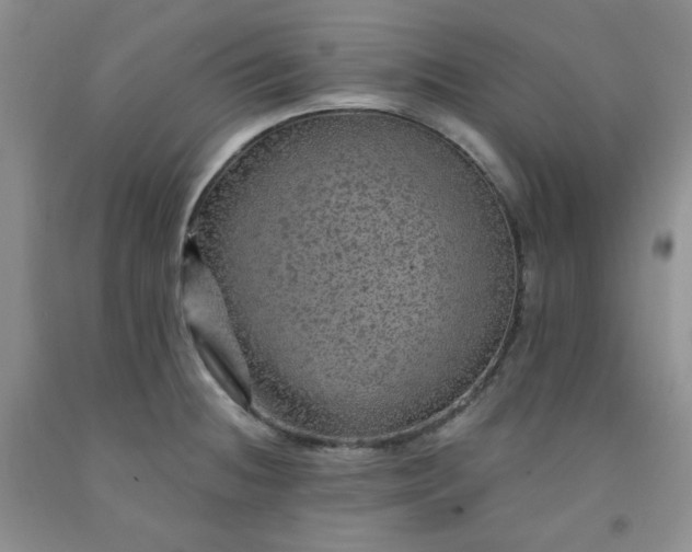 X0000091951236200709201316