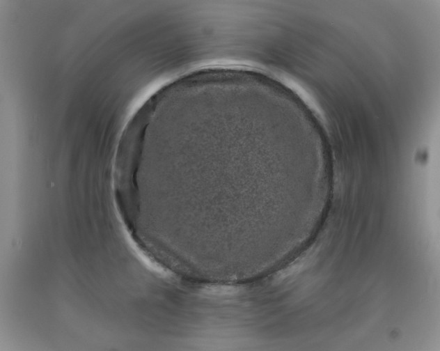 X0000091951237200709201316