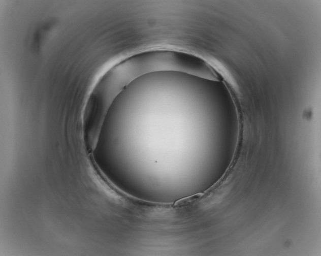 X0000091951238200709201316