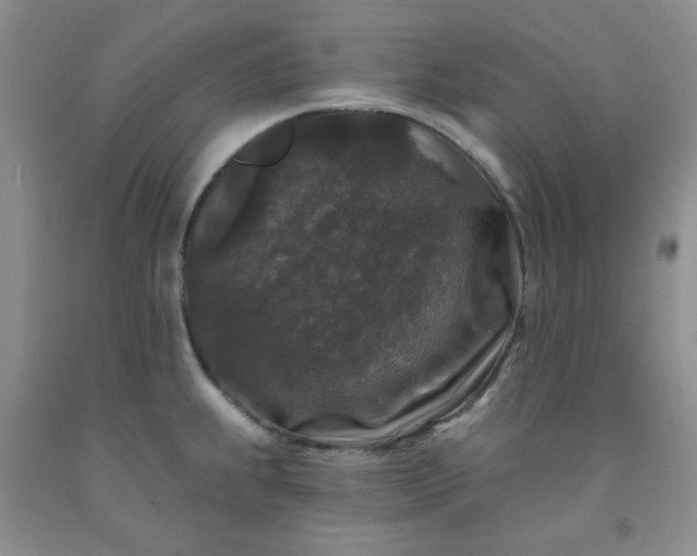 X0000091951239200709201316