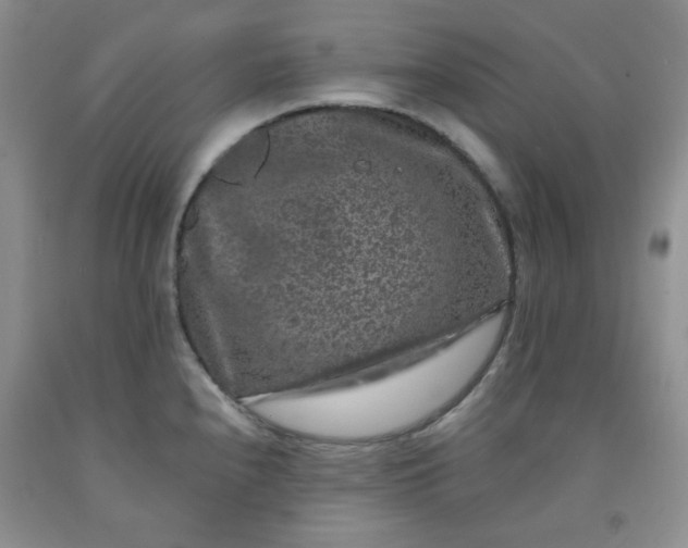 X0000091951240200709201316