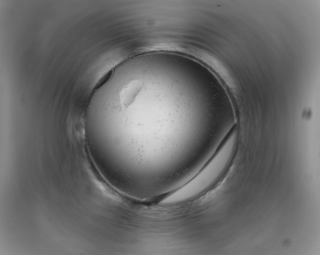 X0000091951241200709201316