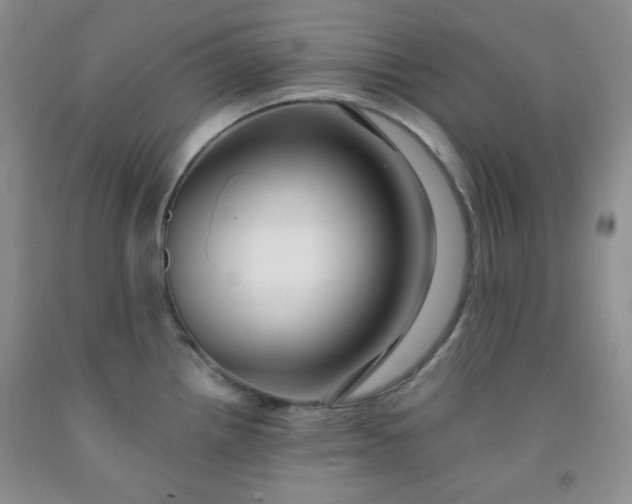 X0000091951242200709201316