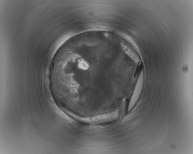 X0000091951243200709201316