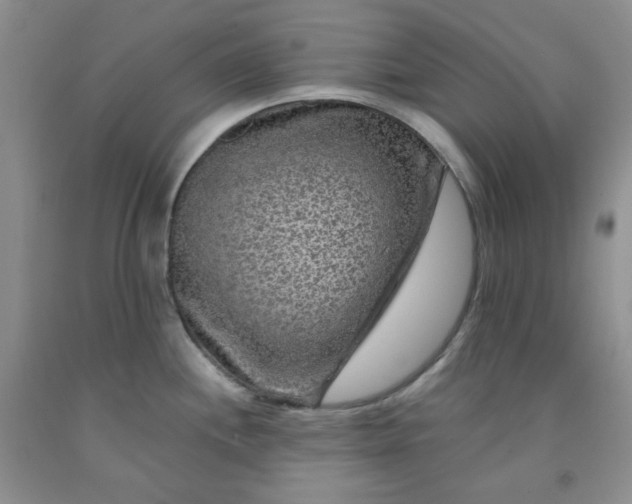 X0000091951244200709201316