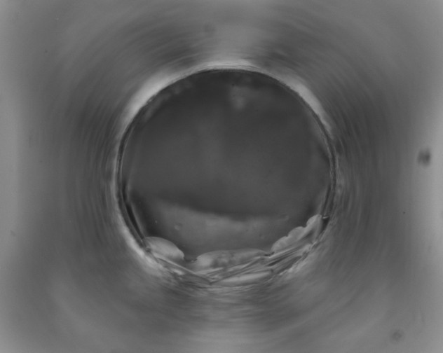 X0000091951245200709201316