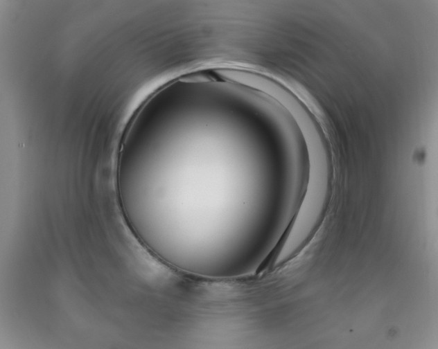 X0000091951246200709201316