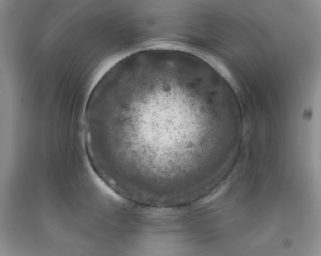 X0000091951247200709201316