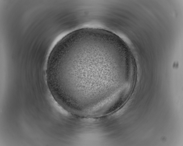 X0000091951248200709201316