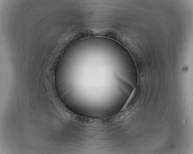 X0000091951249200709201315