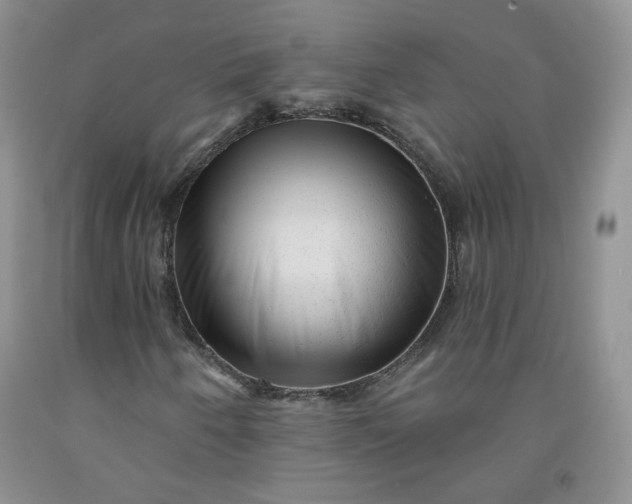 X0000091951250200709201315