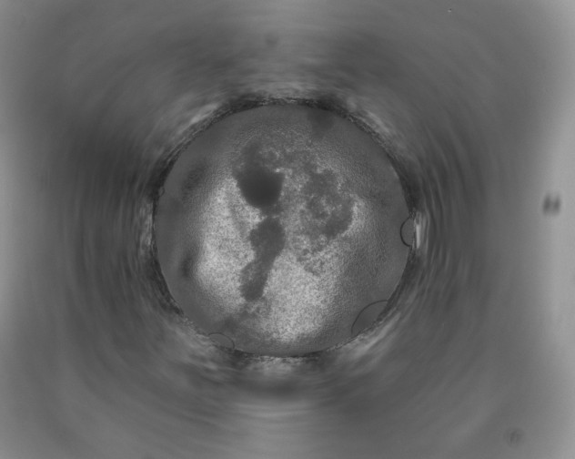 X0000091951251200709201315