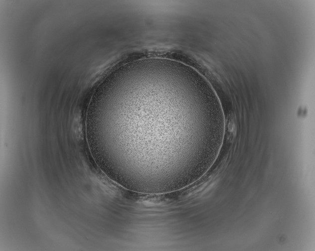 X0000091951252200709201315