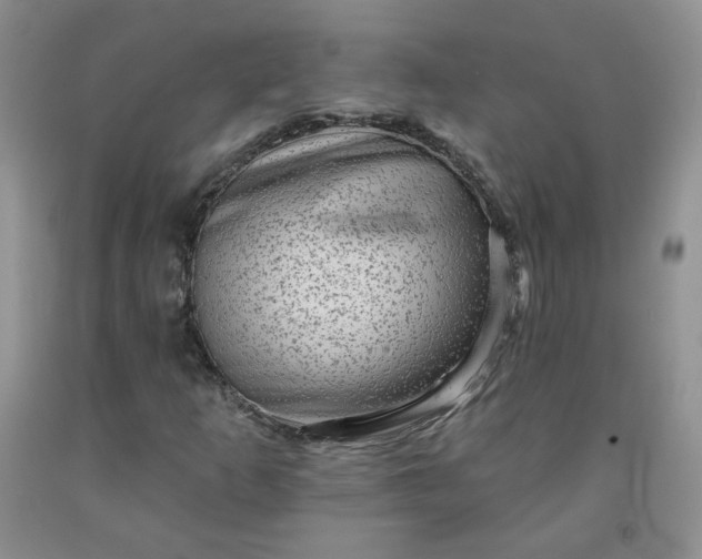 X0000091951253200709201315