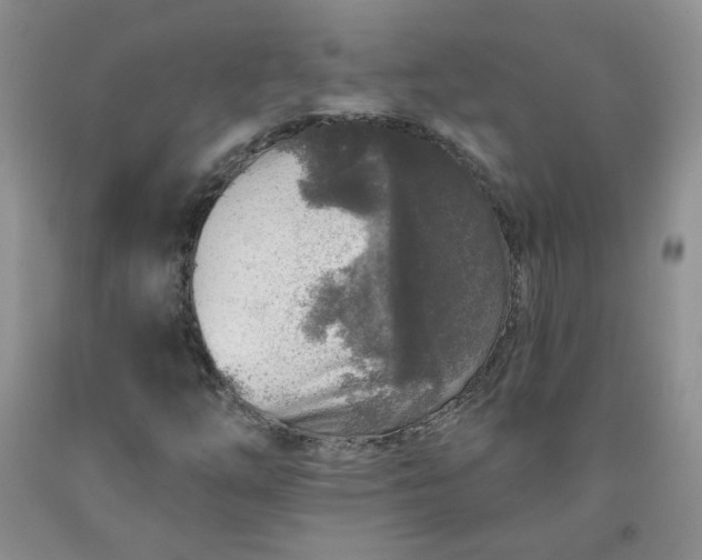 X0000091951254200709201315