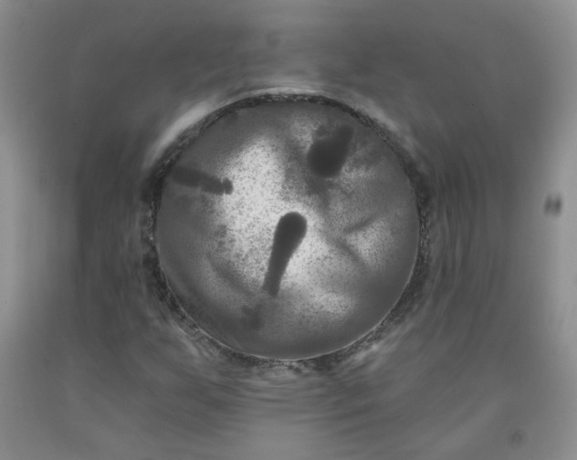 X0000091951255200709201315