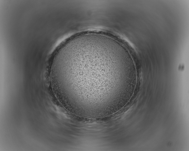 X0000091951256200709201315