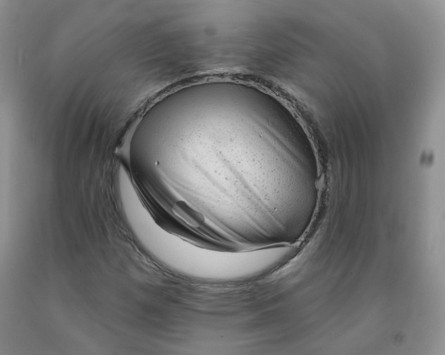 X0000091951257200709201315