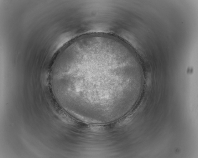 X0000091951258200709201315