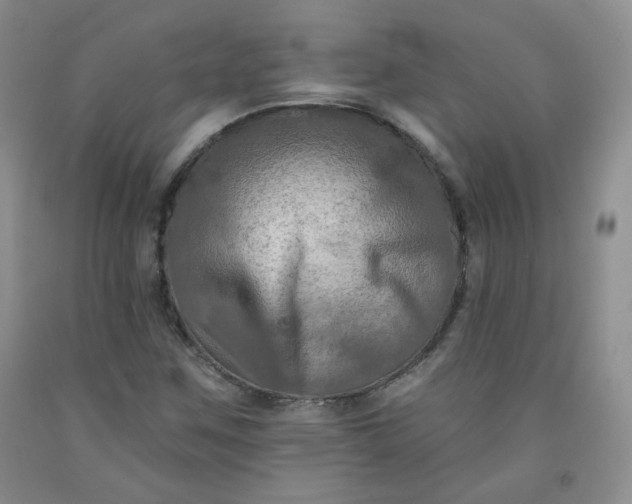 X0000091951259200709201315