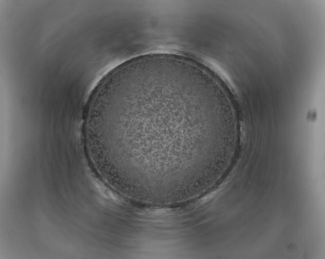 X0000091951260200709201315