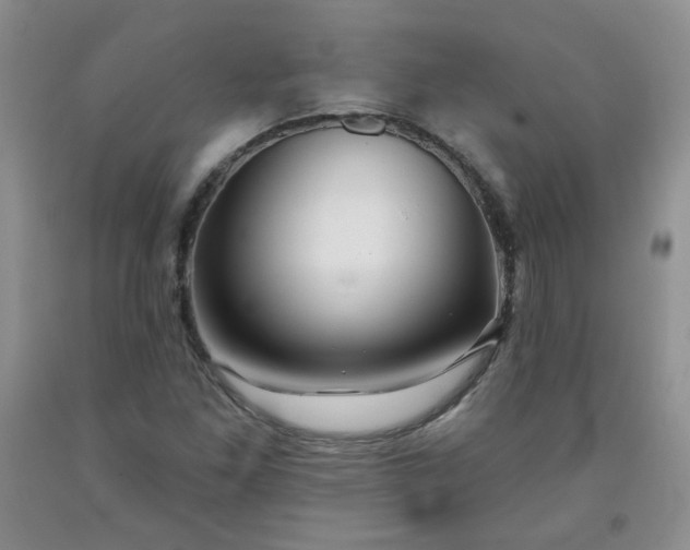 X0000091951261200709201315