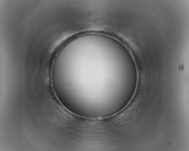 X0000091951262200709201315