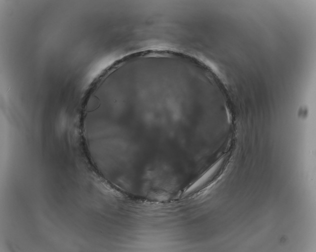 X0000091951263200709201315