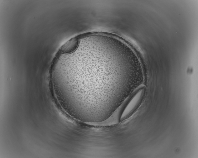 X0000091951264200709201315