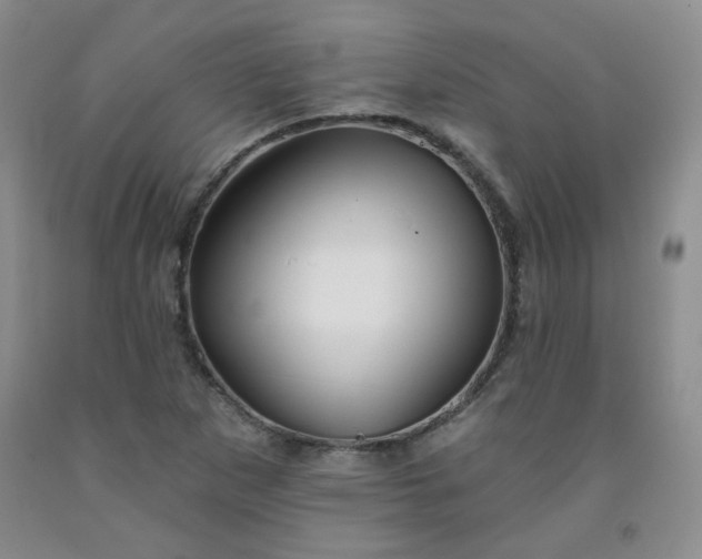 X0000091951265200709201315