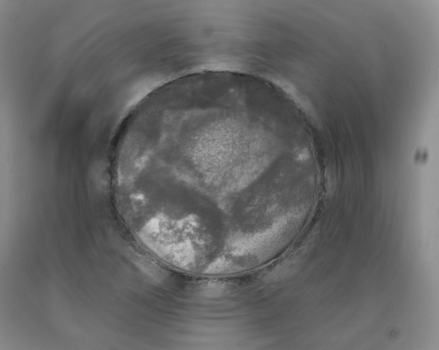 X0000091951266200709201315