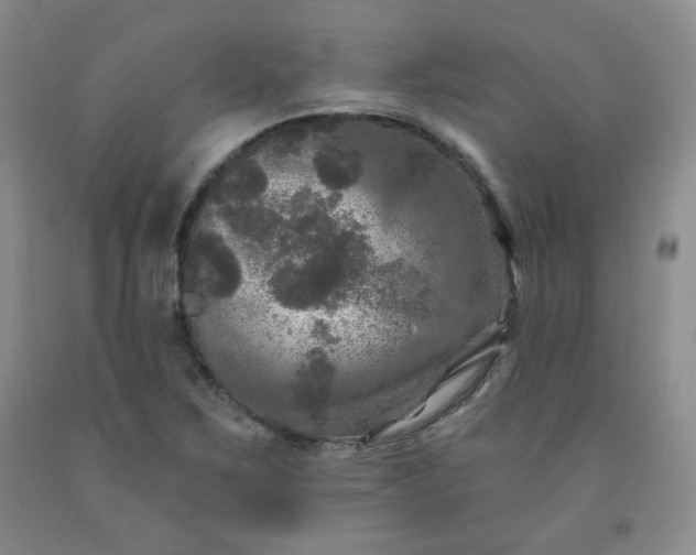 X0000091951267200709201315