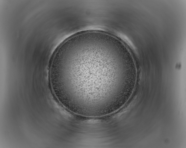 X0000091951268200709201315