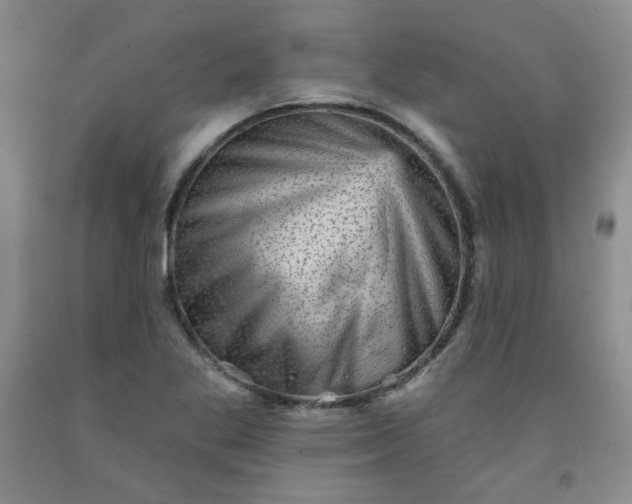 X0000091951269200709201315