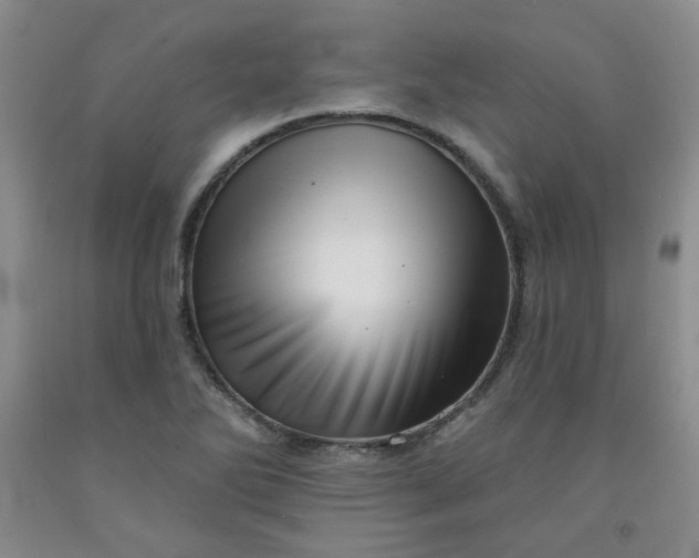 X0000091951270200709201315